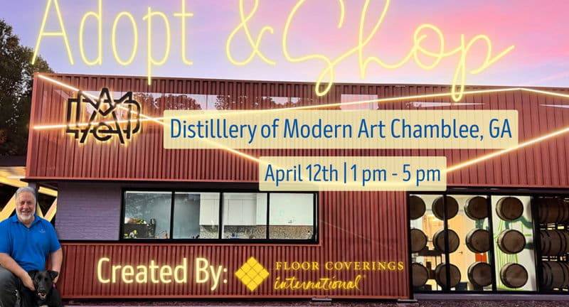 Adopt & Shop -CHAMBLEE