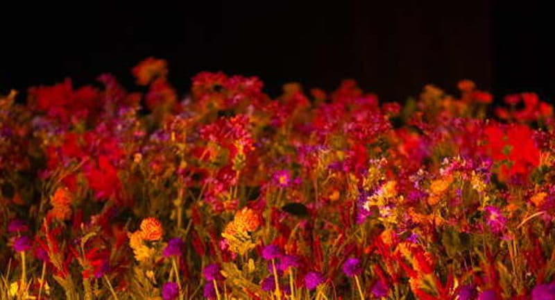 Candlelight: Best of Bridgerton on Strings