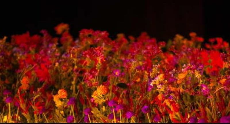 Candlelight: The Best of Bridgerton on Strings