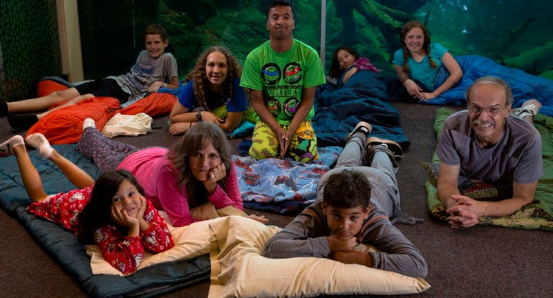 Family NightCrawler Overnight