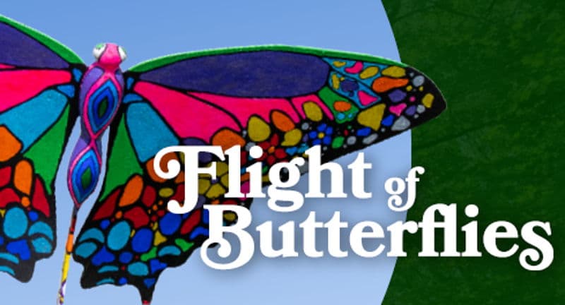 Flight of Butterflies