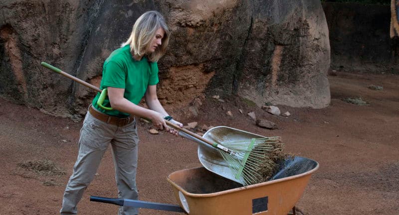 Keeper for a Day: Elephants