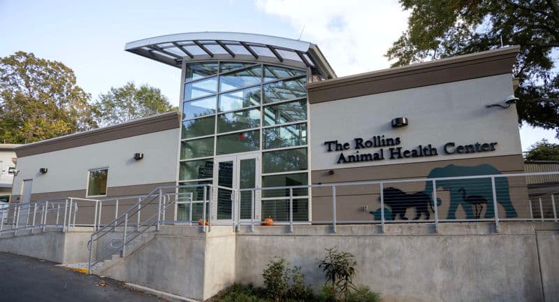 Rollins Animal Health Center Tour at the Zoo